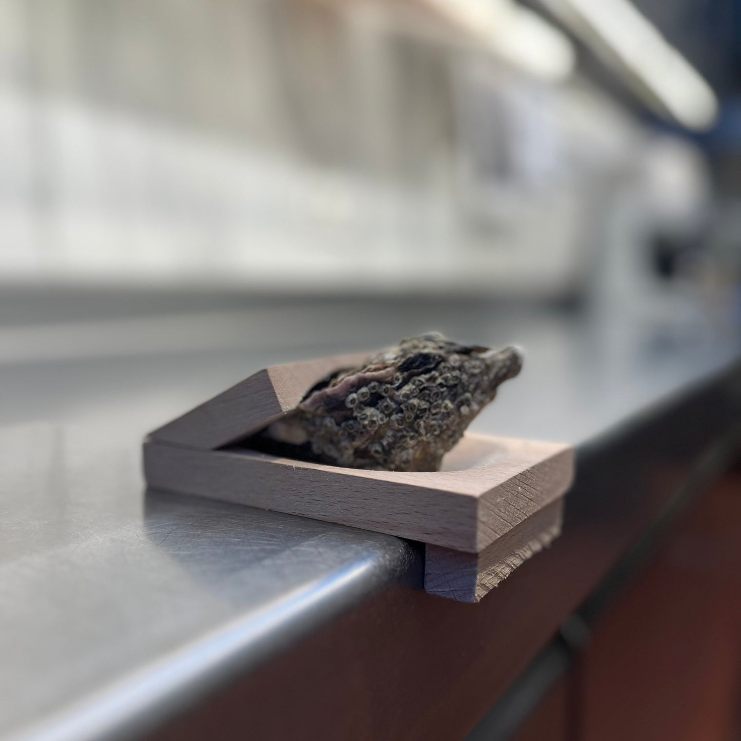 Oystertools™ - Oyster Clamp (Free Today)